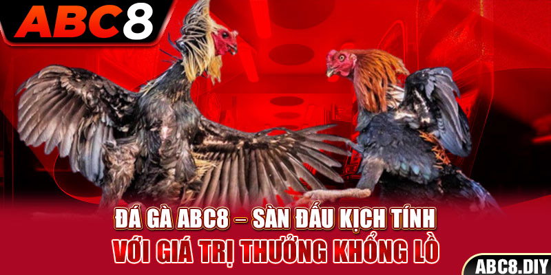 Đá Gà ABC8 – Sàn Đấu Kịch Tính Với Giá Trị Thưởng Khổng Lồ